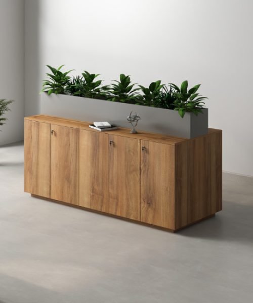 Lara Low Height Cabinet (3)