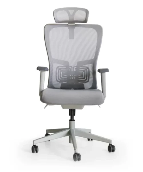 Macie Ergonomic Chair