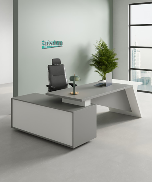 N Executive Desk (1)