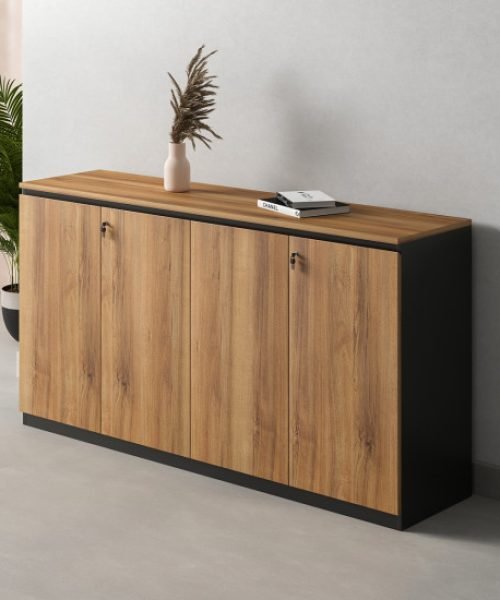 Tacy Low Height Cabinet (3)